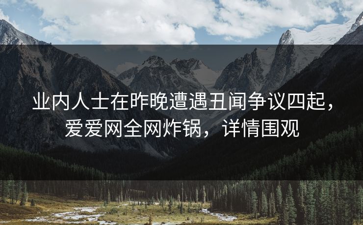 业内人士在昨晚遭遇丑闻争议四起，爱爱网全网炸锅，详情围观