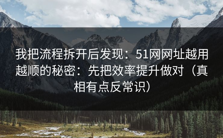 我把流程拆开后发现：51网网址越用越顺的秘密：先把效率提升做对（真相有点反常识）