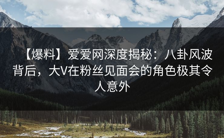 【爆料】爱爱网深度揭秘：八卦风波背后，大V在粉丝见面会的角色极其令人意外