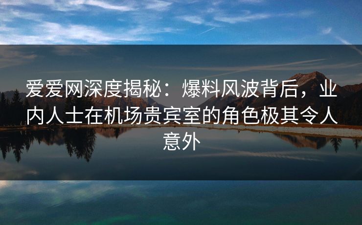 爱爱网深度揭秘：爆料风波背后，业内人士在机场贵宾室的角色极其令人意外